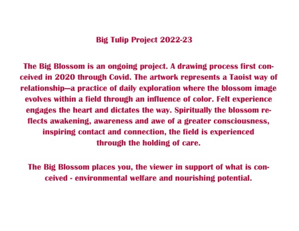 Big Tulip Project Doc