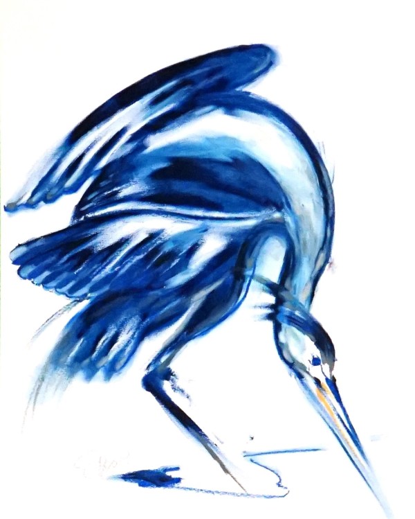 Blue Heron D8