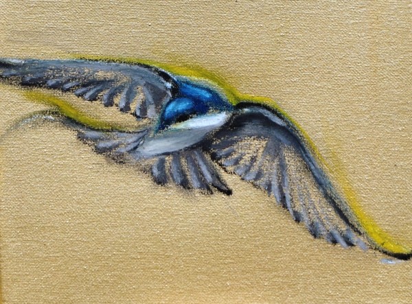 Sixteen Swallows 2018 - Individual drawing 14