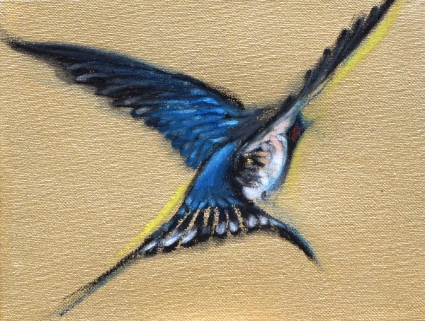 Sixteen Swallows 2018 - Individual drawing 8