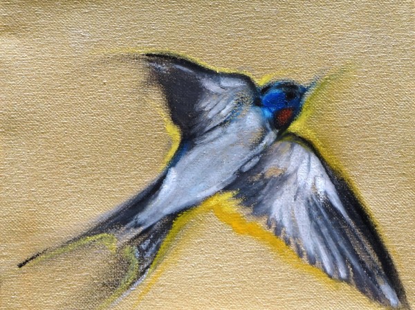 Sixteen Swallows 2018 - Individual drawing 6