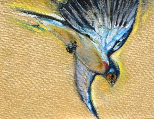 Sixteen Swallows 2018 - Individual drawing 3