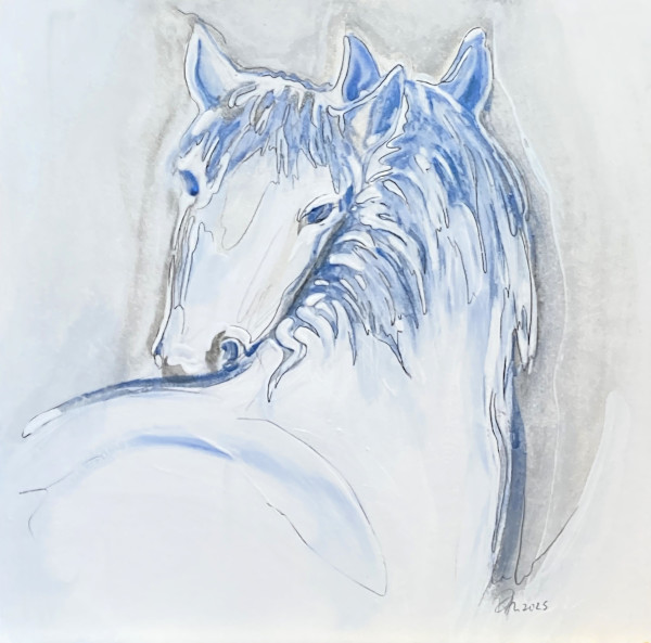 Equus 1.cd10x10mini