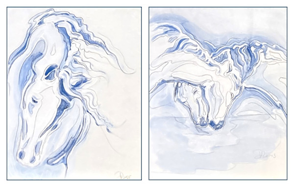 Equus 1.e 1.f 8x10 sub