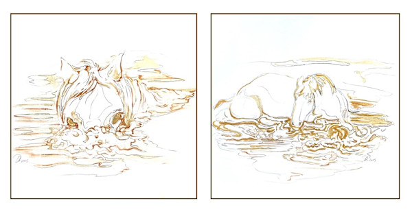 Equus 5 5.a 10 x 10 mini