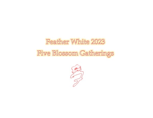 Feather White 2023