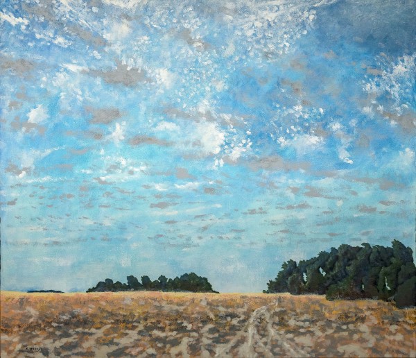 La Salle's Prairie by Kerry Beverly