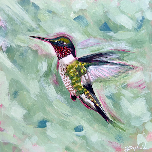 Ruby-Throated Hummingbird by S.J. Dopheide