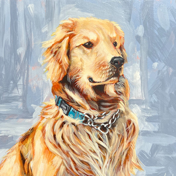 Shepherd by S.J. Dopheide