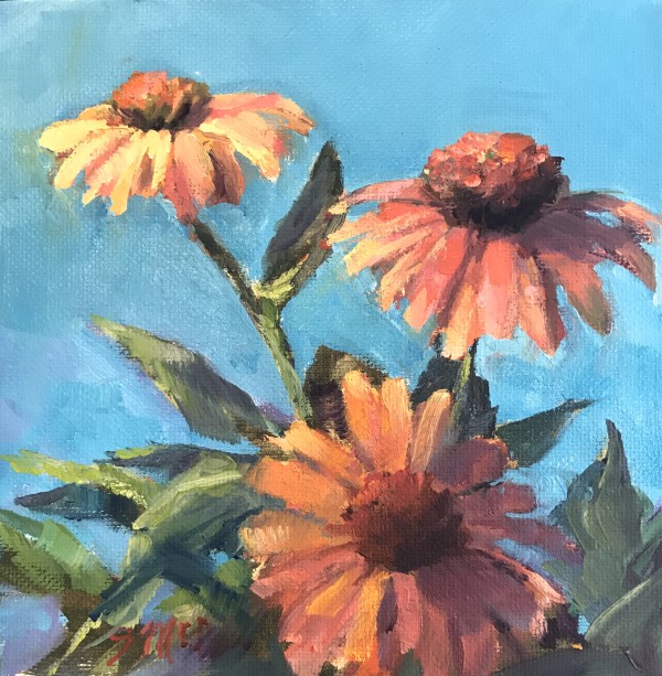 CONE FLOWERS by Sharon McIntosh