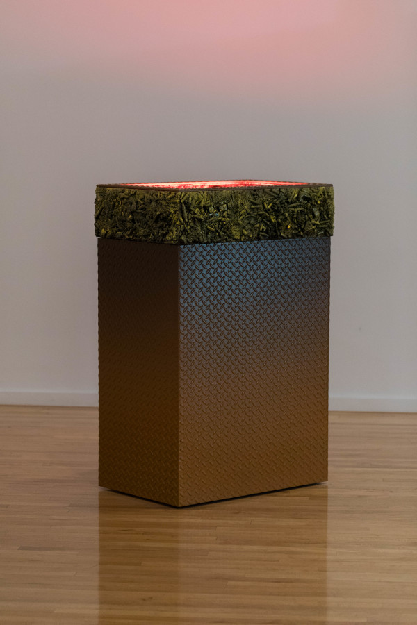 BEVERLY HILLS (Braille Silhouette) by Max Hooper Schneider