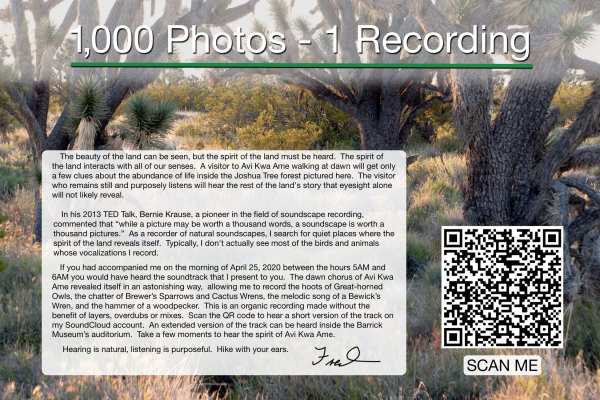 1000 Photos - One Recording by Fred Bell