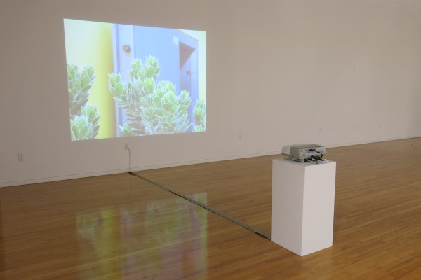 Department of Conservation by Marina Pinsky