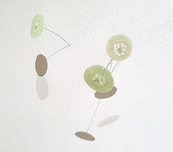 O.E.G (cucumbers) by Jennifer Seo