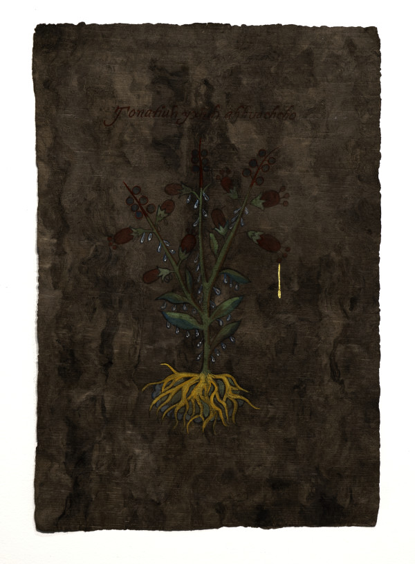 Plantas medicinales para el susto No. 1 (Tonatiuh yxiuh ahhuachcho) by Sandy Rodriguez