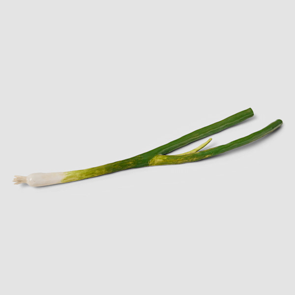 Scallion by Stephanie H. Shih