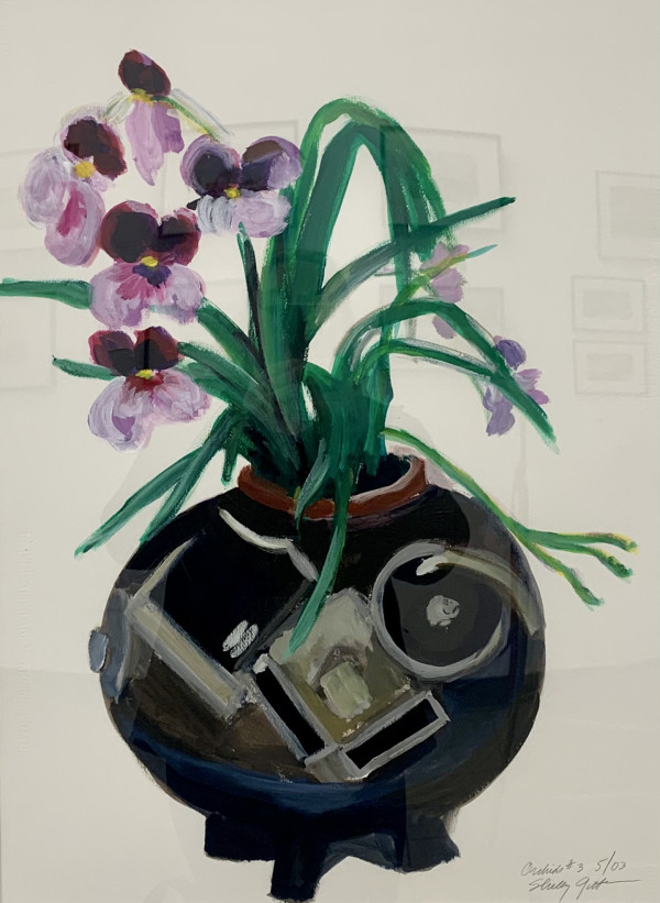 1614 Orchids by Shirley Gittelsohn