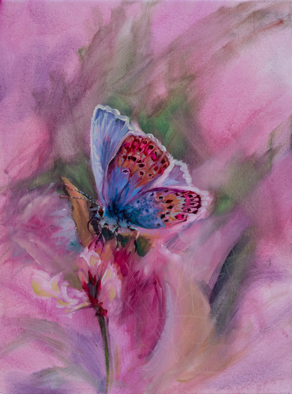 Butterfly - Study in Pink