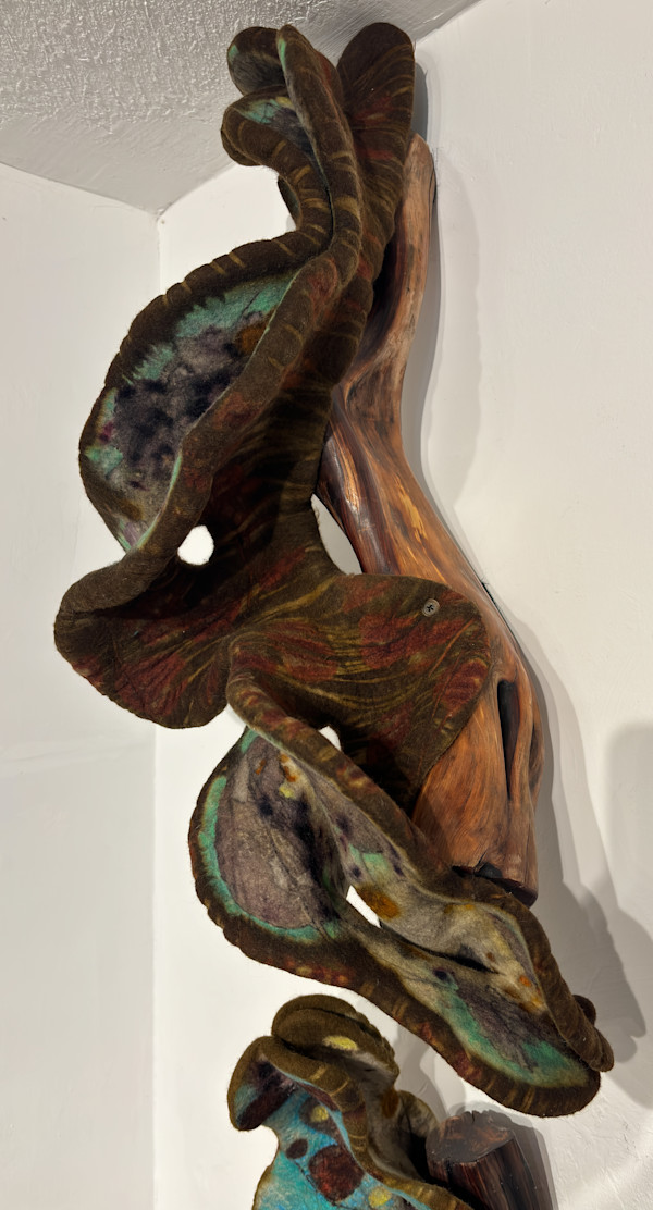 Look Down IV by Alana Clearlake