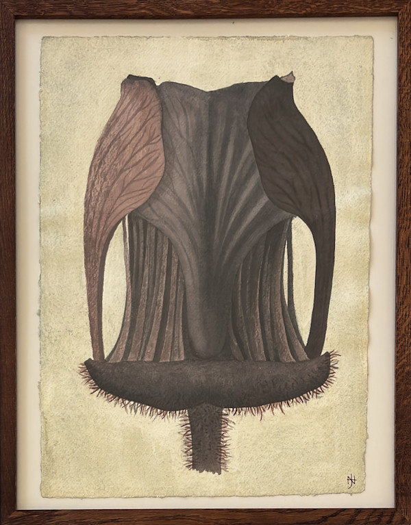 Seed #3 by Nicholas Hay