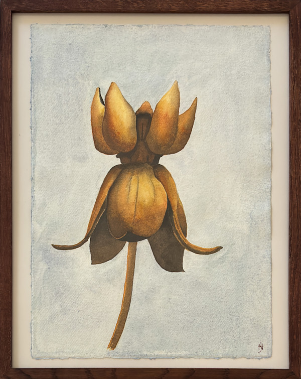 Seed #2 by Nicholas Hay