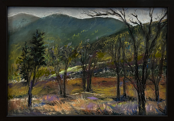 Trailside Park, Struggling, New Growth by Karen Magnuson