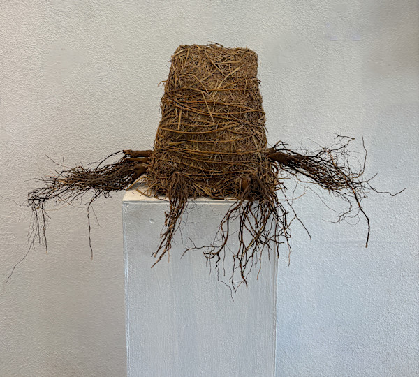 Root Home #2 by Lisa Kaplan