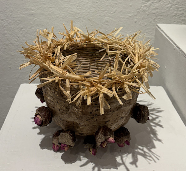 Acorn Warrior Princess, Charlotte's Memory by Lauren Schneider