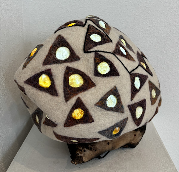 A Shell Light by Alana Clearlake