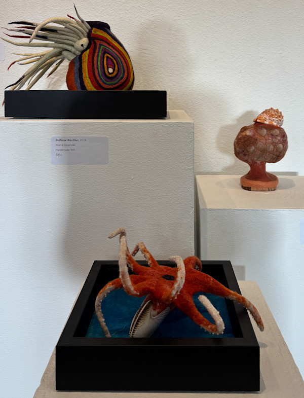 Argonaut Argo, an Octopus & Bullseye Nautilus by Alana Clearlake, Image 1.
