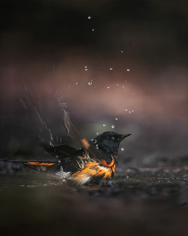 Staccato Splashes by Kaleb Friend, Image 1.