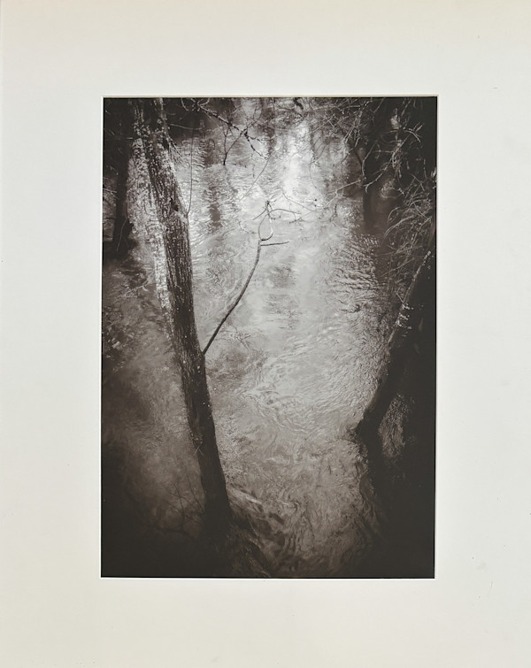 The Torrent by Jenny Abramson, Image 2.