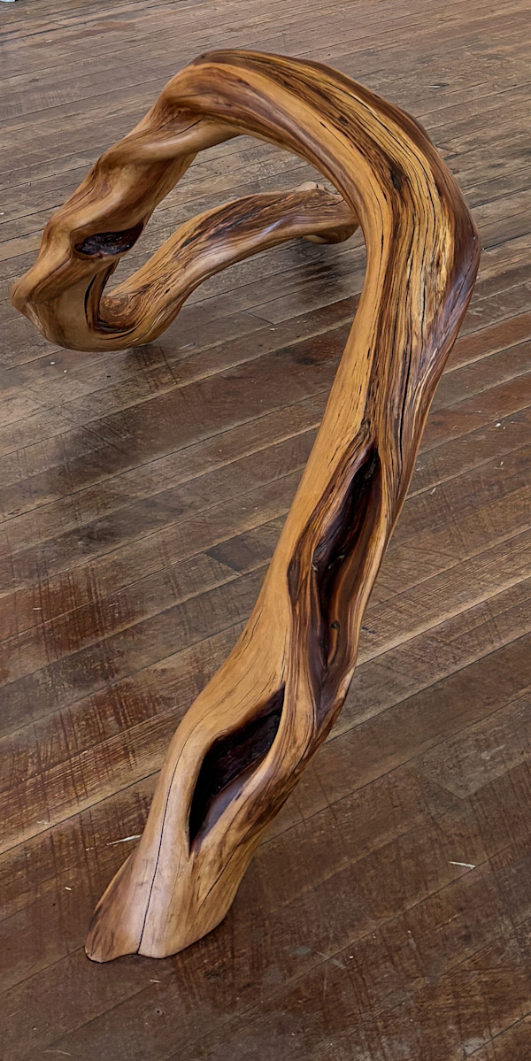 Serpent by Marcus Maria Jung, Image 2.
