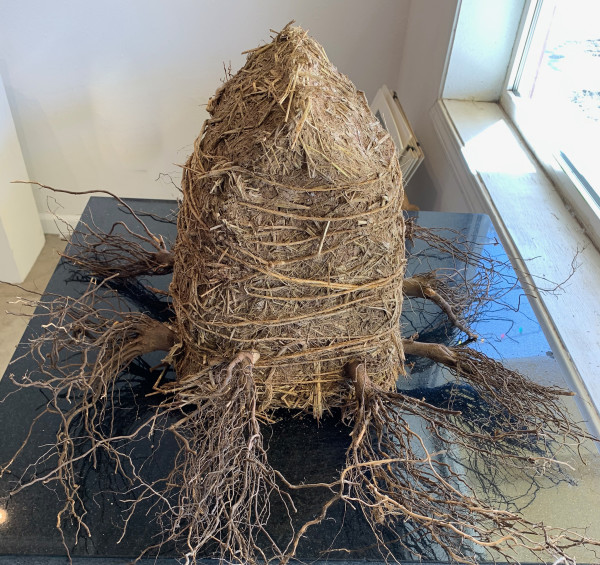 Connections 3 (Root Home) by Lisa Kaplan