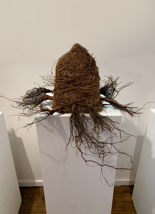 Root Home  (House #2) by Lisa Kaplan