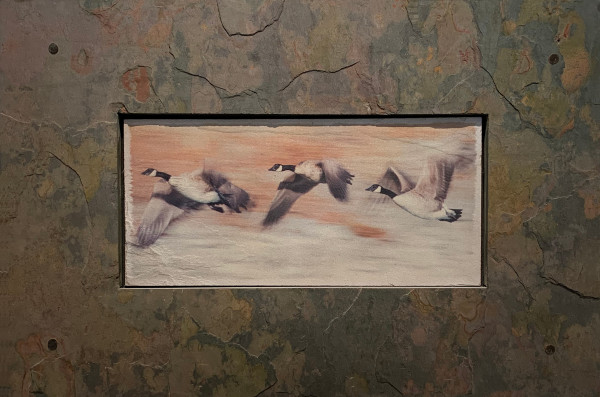 Wild Geese by Becky Jaffee