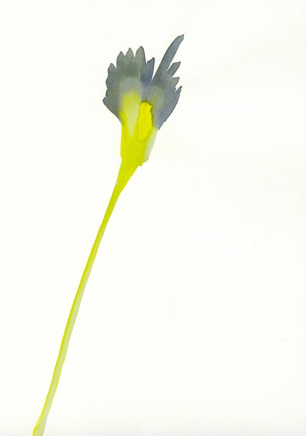 Flowers (Grey, yellow) by Alejandra Jean-Mairet
