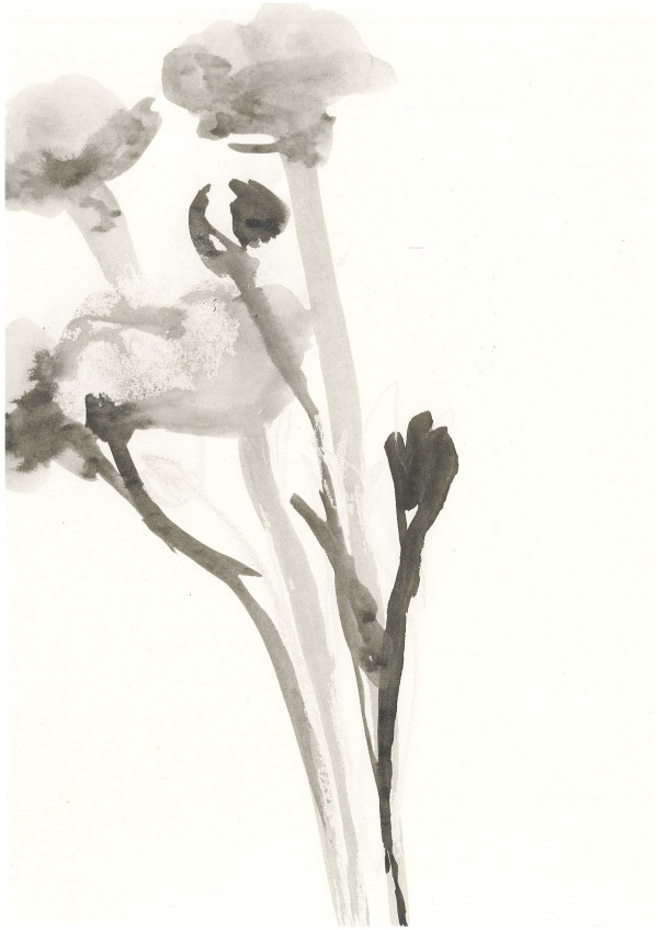 Blumen (Ink) by Alejandra Jean-Mairet