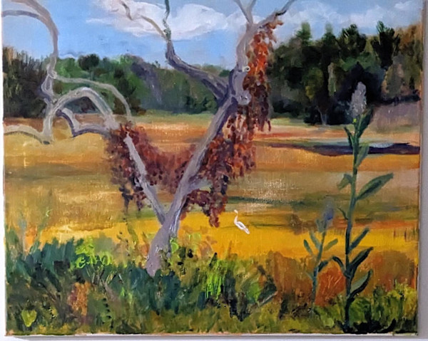 Old Town Hill by Tina Rawson, Image 1.