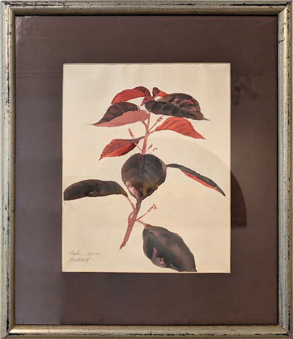 Bali by Dorr Bothwell, Image 1.