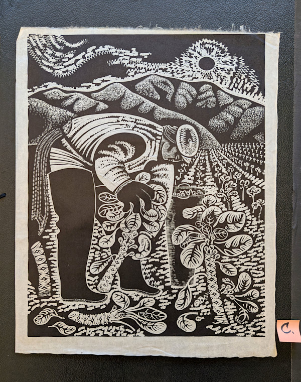 Sprout Picker (un-matted print C) by Emmy Lou Packard