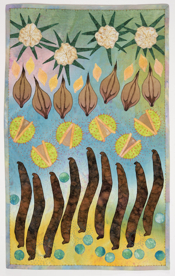 Seeds and Pods by Maggie Bates
