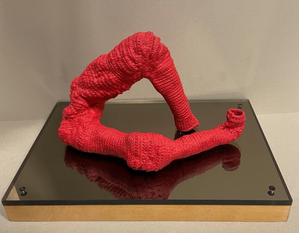 Red Legs by Barbara Shawcroft