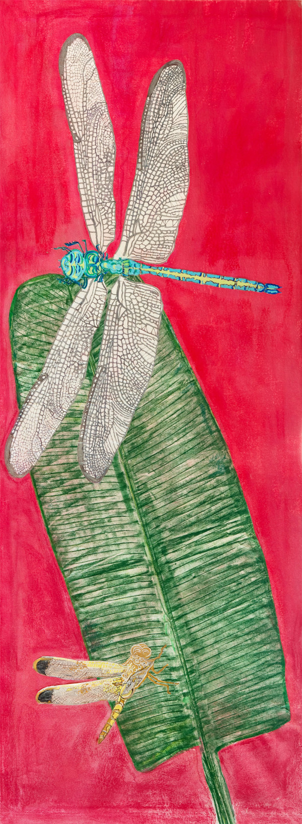 Dragonflies on Banana Leaf 1 by Alexandra Anderson Bower