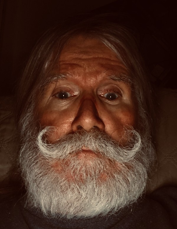 The Wizard of Odd by James Donnelly, Image 2.
