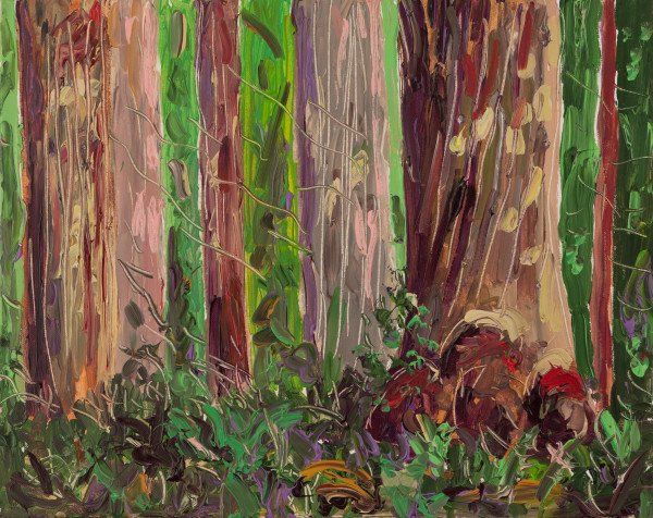 Redwood National Park by Ken Gorczyca