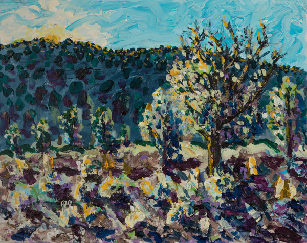 Sunset at Inyo Mountains by Ken Gorczyca