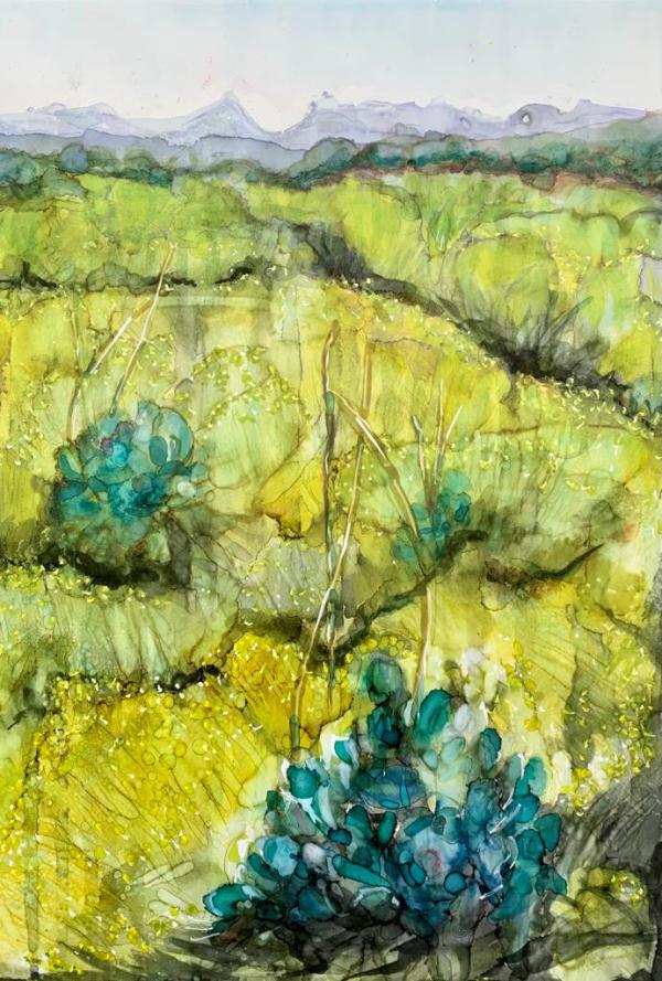 Green Tapestry and The Swartberg by Janet Dixon