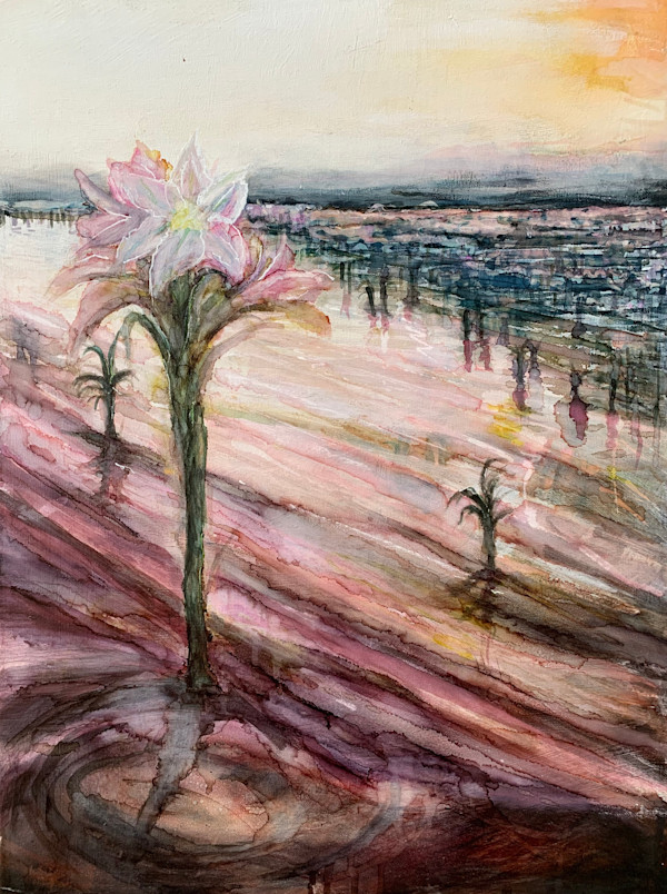 Sunrise at Lelieshof Farm by Janet Dixon
