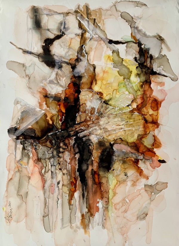Water on Rock by Janet Dixon